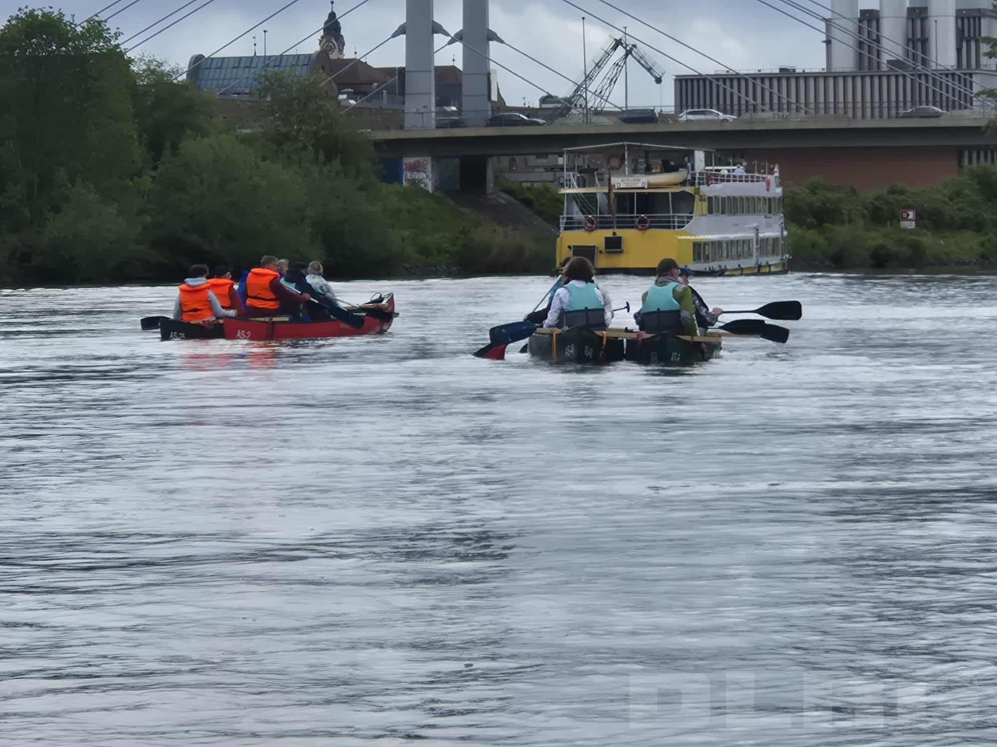 Menschen in Ruderbooten auf dem Main